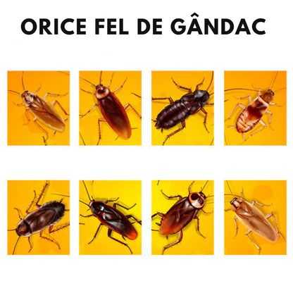 Capcană pentru gândaci RoachReaper™